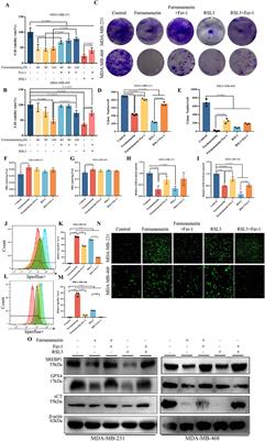 Formononetin triggers ferroptosis in triple-negative breast cancer cells by regulating the mTORC1/SREBP1/SCD1 pathway